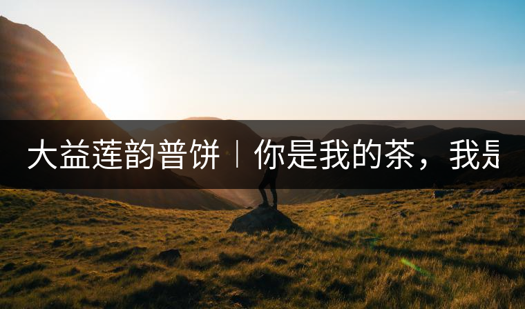 大益蓮韻普餅︱你是我的茶，我是你的人！