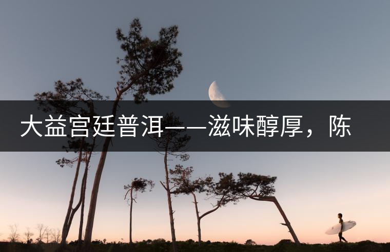 大益宮廷普洱——滋味醇厚，陳香濃郁