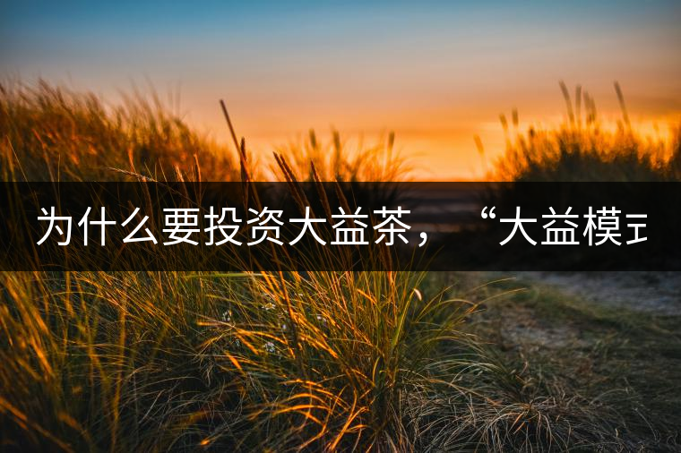 為什么要投資大益茶，“大益模式”告訴你！
