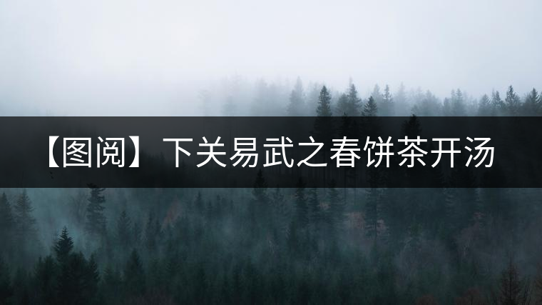 【圖閱】下關(guān)易武之春餅茶開湯品鑒