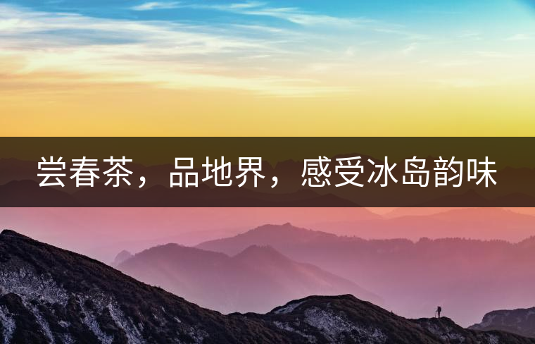 嘗春茶，品地界，感受冰島韻味