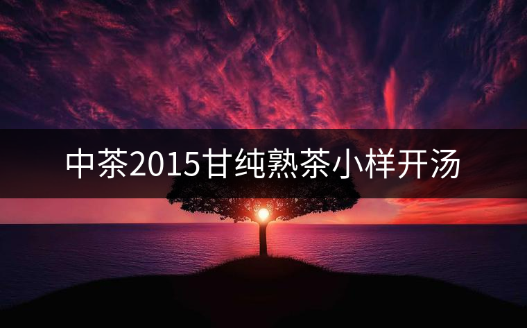 中茶2015甘純熟茶小樣開(kāi)湯 中茶2015甘純熟茶小樣開(kāi)湯