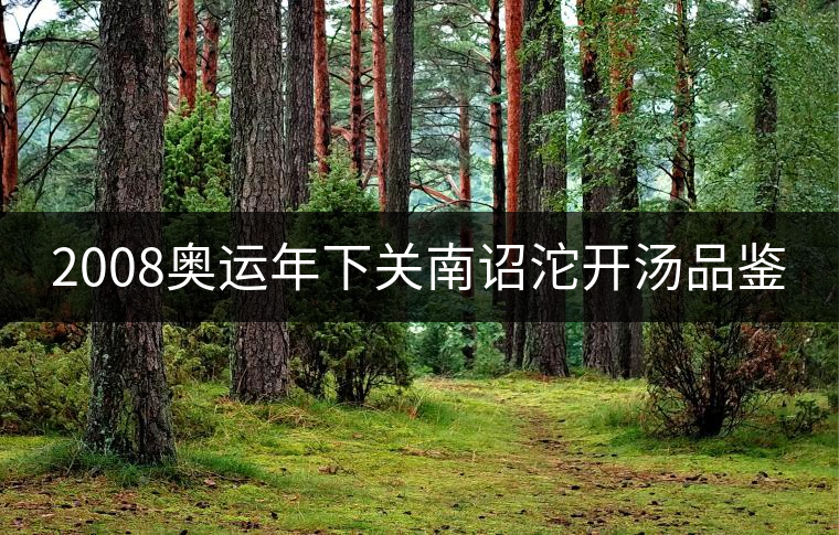 2008奧運(yùn)年下關(guān)南詔沱開(kāi)湯品鑒