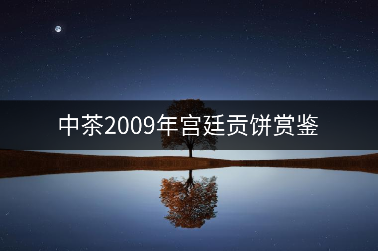 中茶2009年宮廷貢餅賞鑒 中茶2009年宮廷貢餅賞鑒