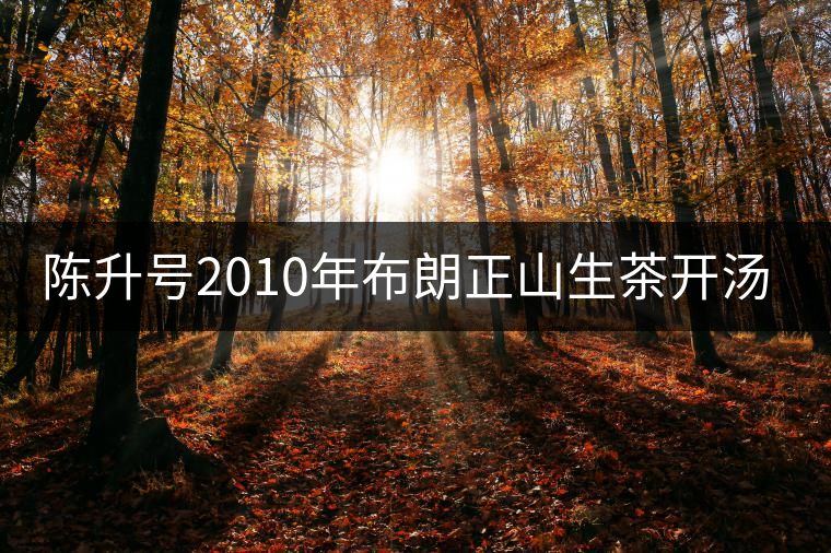 陳升號(hào)2010年布朗正山生茶開湯品鑒