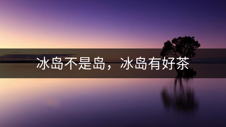 冰島不是島，冰島有好茶