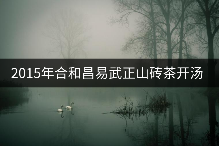 2015年合和昌易武正山磚茶開湯品鑒 2015年合和昌易武正山磚茶開湯品鑒