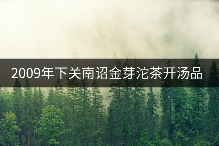 2009年下關(guān)南詔金芽沱茶開湯品鑒 2009年下關(guān)南詔金芽沱茶開湯品鑒
