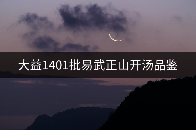 大益1401批易武正山開(kāi)湯品鑒 大益1401批易武正山開(kāi)湯品鑒
