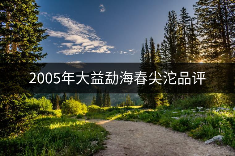 2005年大益勐海春尖沱品評(píng) 2005年大益勐海春尖沱品評(píng)