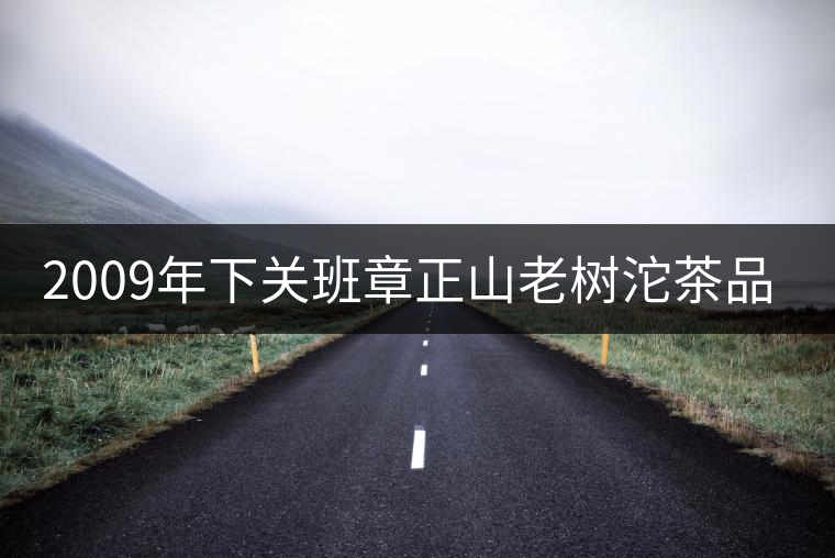 2009年下關(guān)班章正山老樹(shù)沱茶品評(píng) 2009年下關(guān)班章正山老樹(shù)沱茶品評(píng)