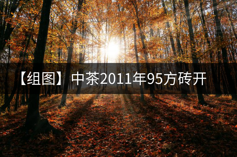 【組圖】中茶2011年95方磚開湯