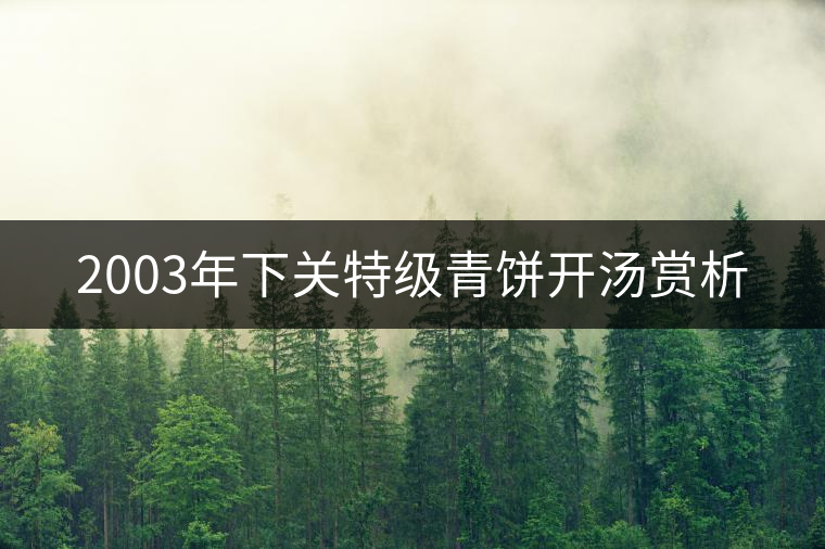 2003年下關(guān)特級青餅開湯賞析