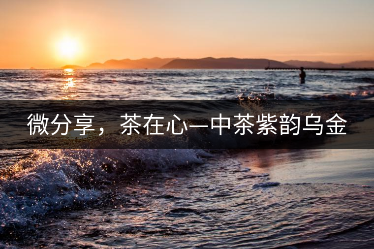 微分享，茶在心—中茶紫韻烏金