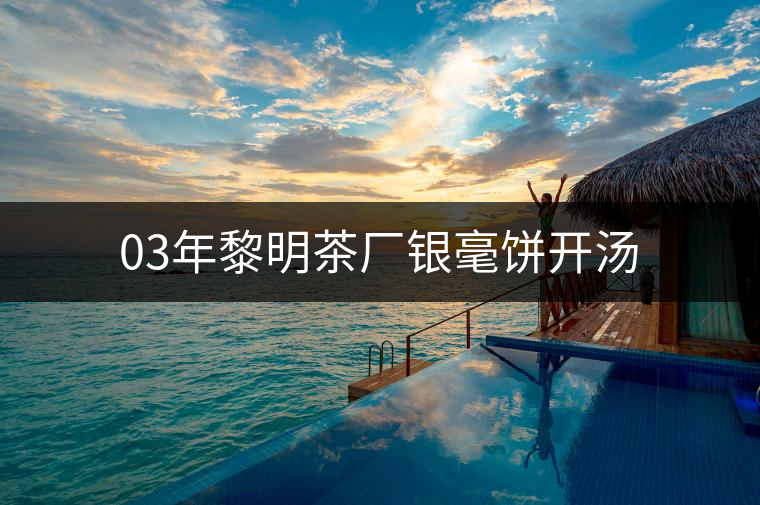 03年黎明茶廠銀毫餅開湯 03年黎明茶廠銀毫餅開湯