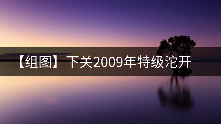 【組圖】下關2009年特級沱開湯 【組圖】下關2009年特級沱開湯