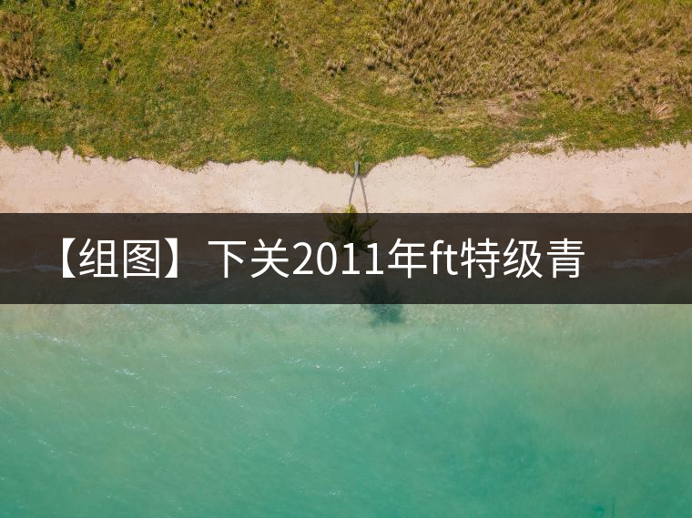 【組圖】下關2011年ft特級青餅開湯