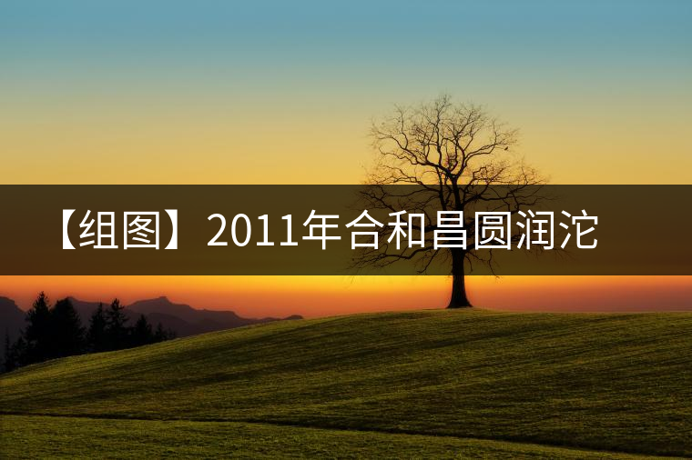 【組圖】2011年合和昌圓潤沱茶開湯 【組圖】2011年合和昌圓潤沱茶開湯