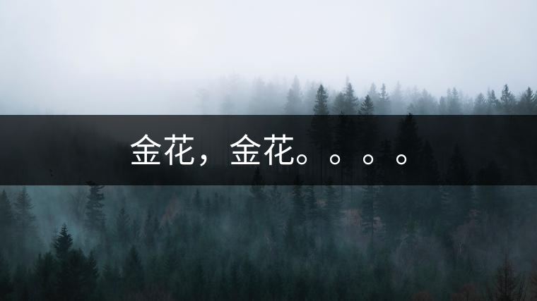 金花，金花。。。。