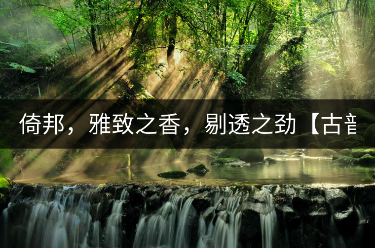 倚邦，雅致之香，剔透之勁【古普十二山品鑒】