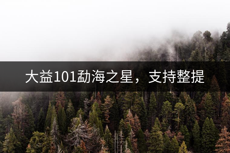 大益101勐海之星，支持整提