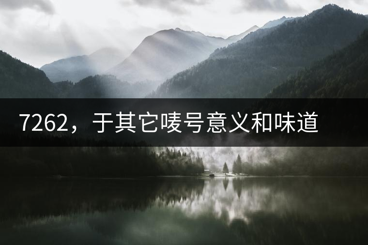7262，于其它嘜號意義和味道都不一樣的大益高等級熟餅