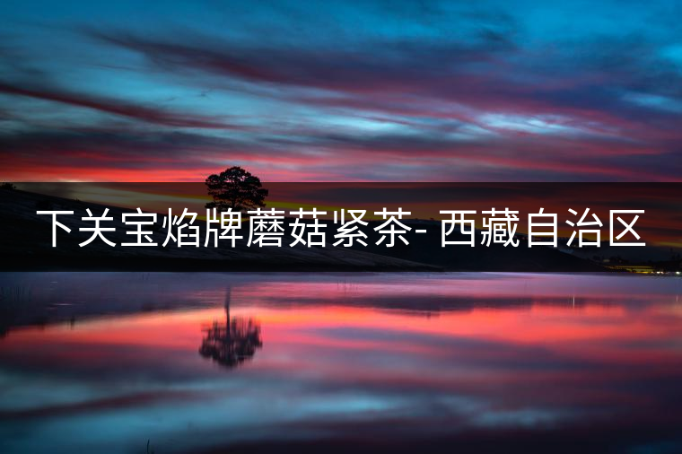 下關(guān)寶焰牌蘑菇緊茶- 西藏自治區(qū)成立40周年紀念 下關(guān)寶焰牌蘑菇緊茶- 西藏自治區(qū)成立40周年紀念