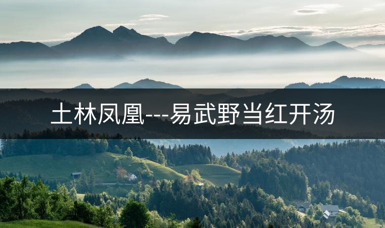 土林鳳凰---易武野當(dāng)紅開湯