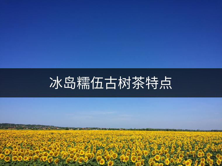 冰島糯伍古樹茶特點(diǎn) 冰島糯伍古樹茶特點(diǎn)