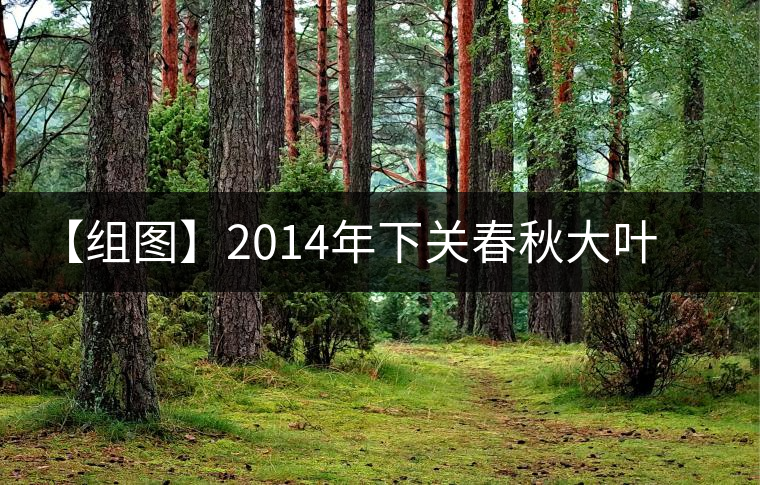 【組圖】2014年下關春秋大葉開湯 【組圖】2014年下關春秋大葉開湯