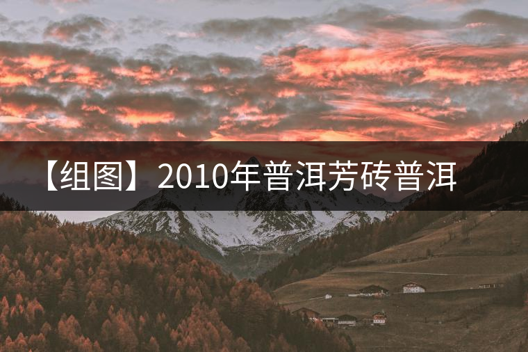 【組圖】2010年普洱芳磚普洱生茶開(kāi)湯