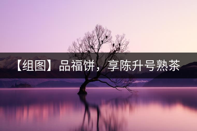 【組圖】品福餅，享陳升號(hào)熟茶滋味