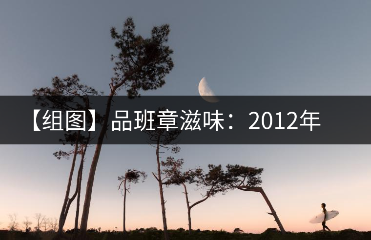 【組圖】品班章滋味:2012年陳升號(hào)銀班章開(kāi)湯 【組圖】品班章滋味:2012年陳升號(hào)銀班章開(kāi)湯