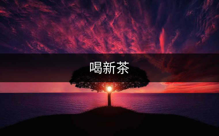 喝新茶