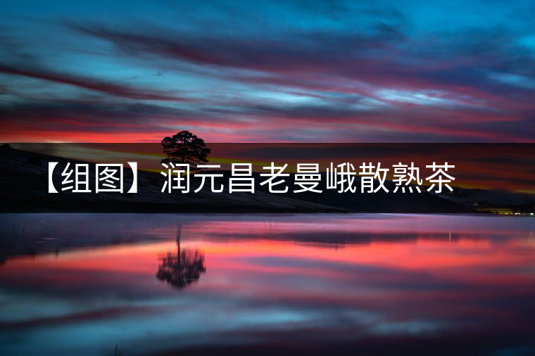 【組圖】潤(rùn)元昌老曼峨散熟茶開湯