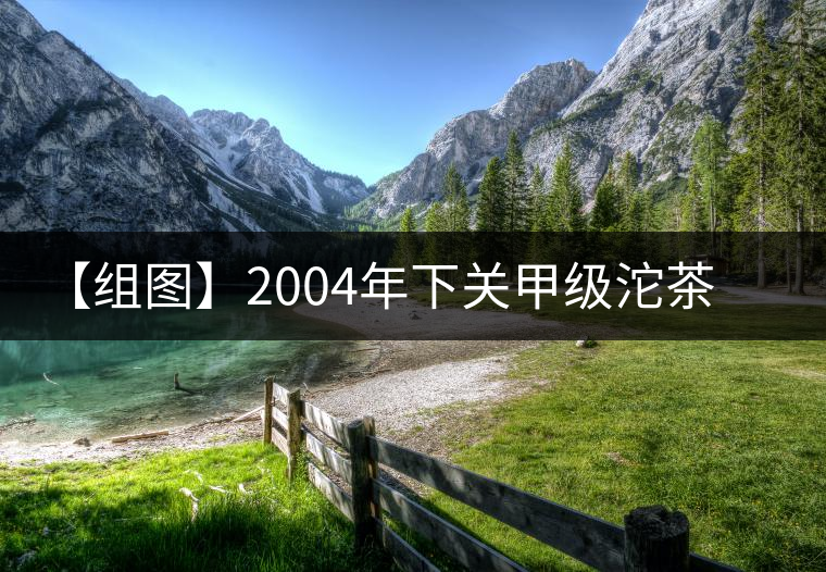 【組圖】2004年下關(guān)甲級(jí)沱茶開(kāi)湯