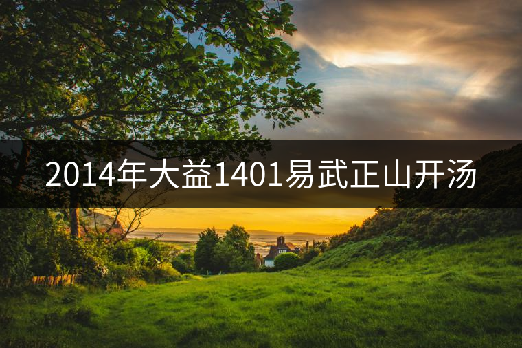 2014年大益1401易武正山開(kāi)湯 2014年大益1401易武正山開(kāi)湯