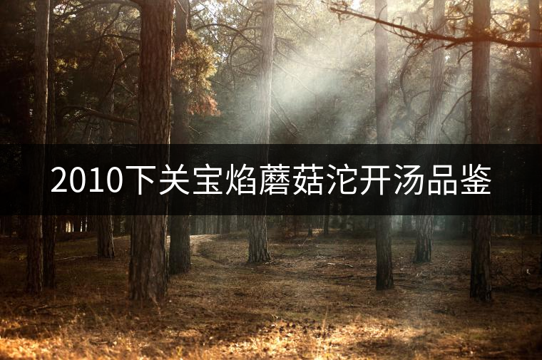 2010下關寶焰蘑菇沱開湯品鑒