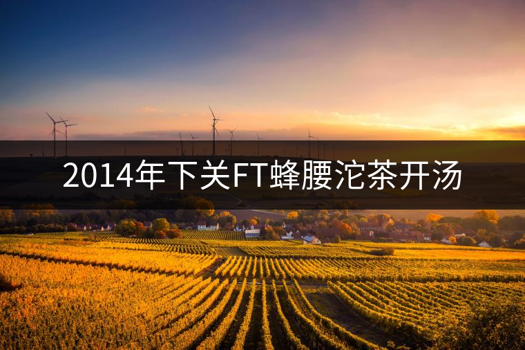 2014年下關(guān)FT蜂腰沱茶開(kāi)湯