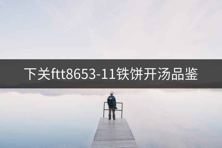 下關ftt8653-11鐵餅開湯品鑒