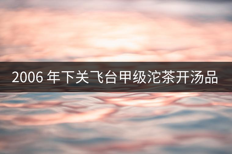 2006 年下關(guān)飛臺(tái)甲級(jí)沱茶開湯品鑒 2006 年下關(guān)飛臺(tái)甲級(jí)沱茶開湯品鑒