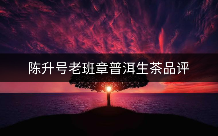 陳升號老班章普洱生茶品評