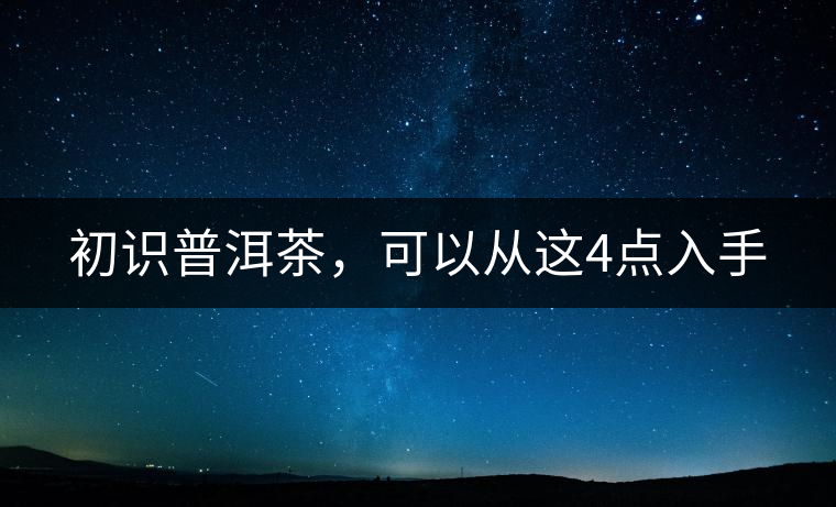 初識普洱茶，可以從這4點入手