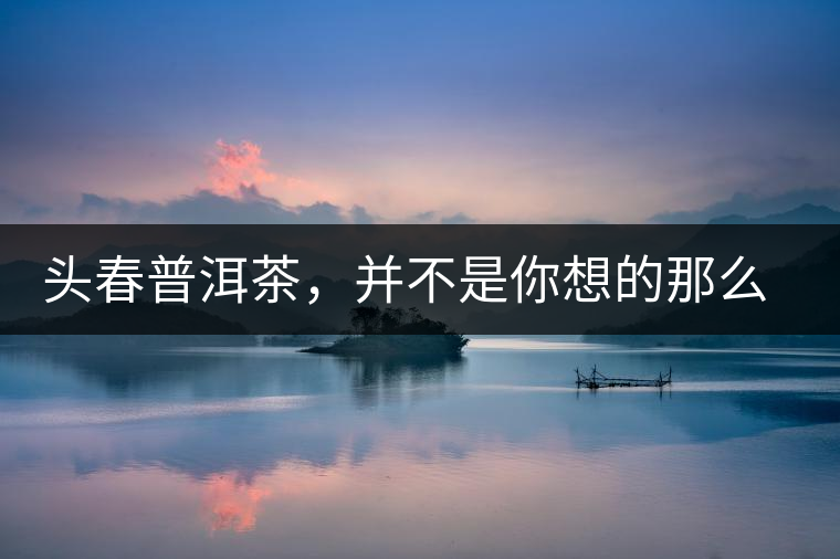 頭春普洱茶，并不是你想的那么好