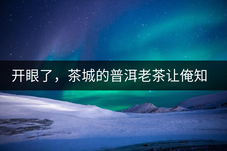 開(kāi)眼了，茶城的普洱老茶讓俺知道了老茶樹(shù)