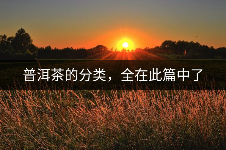 普洱茶的分類，全在此篇中了
