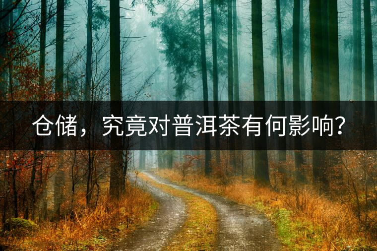 倉儲(chǔ)，究竟對(duì)普洱茶有何影響？