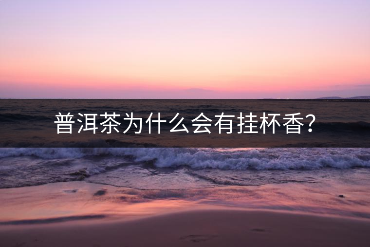 普洱茶為什么會有掛杯香？