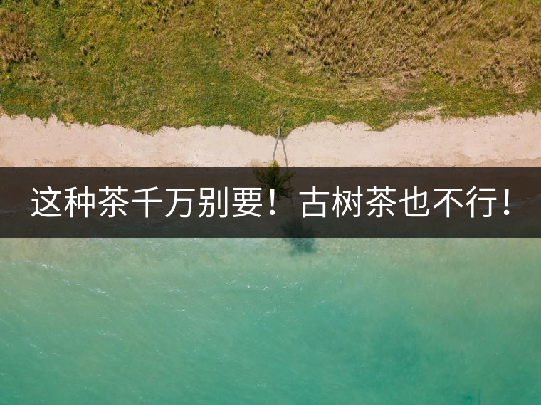 這種茶千萬(wàn)別要！古樹(shù)茶也不行！