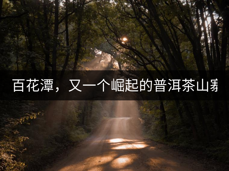 百花潭，又一個(gè)崛起的普洱茶山寨！